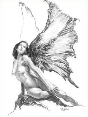 Fairy Wings